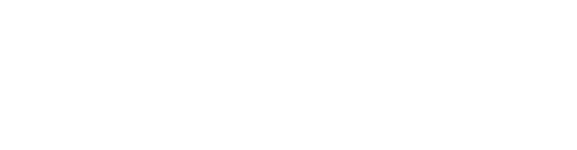 Diseño web · Anuubis Solutions